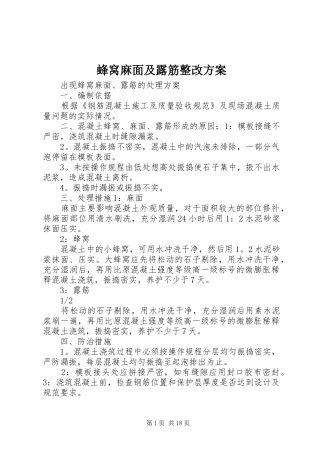 2024年蜂窝麻面及露筋整改方案