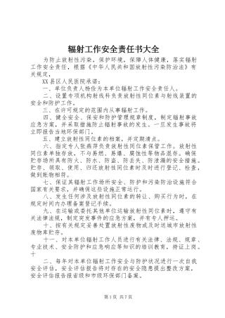 2024年辐射工作安全责任书大全
