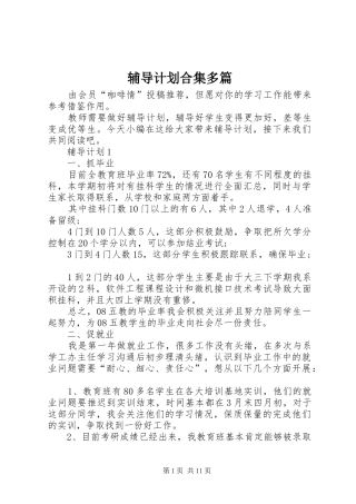 2024年辅导计划合集多篇