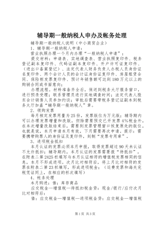 2024年辅导期一般纳税人申办及帐务处理