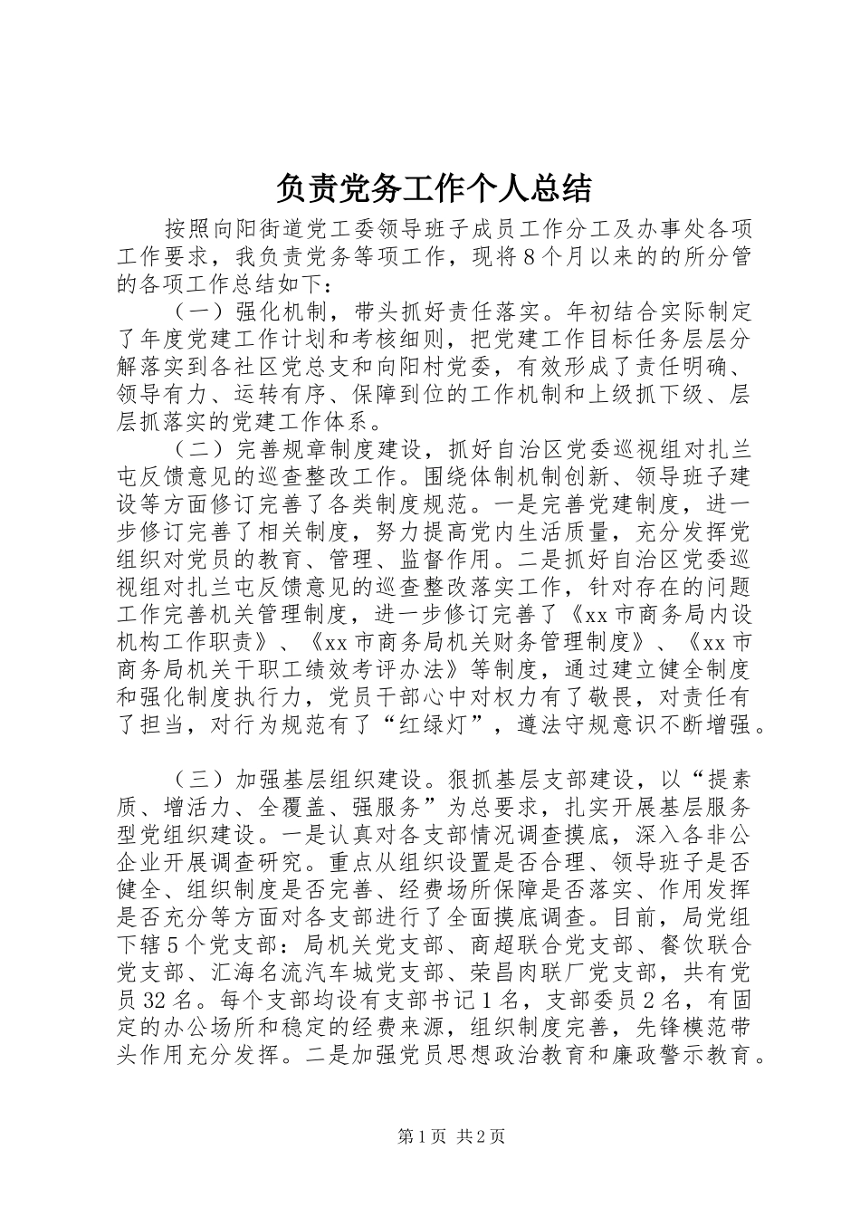 2024年负责党务工作个人总结_第1页