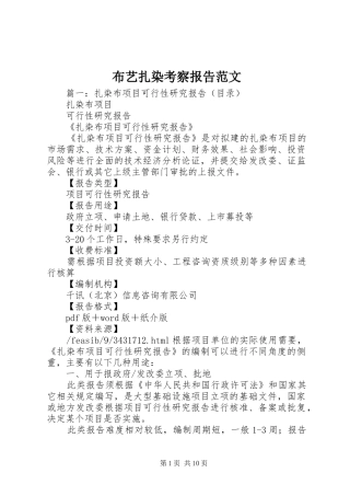 2024年布艺扎染考察报告范文