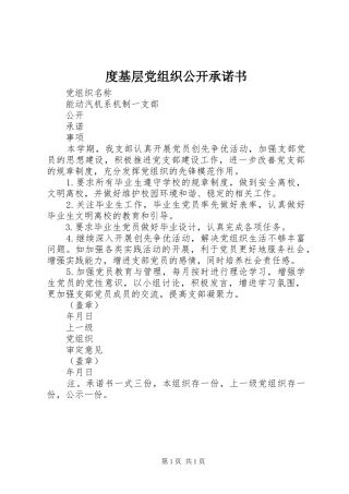 2024年度基层党组织公开承诺书