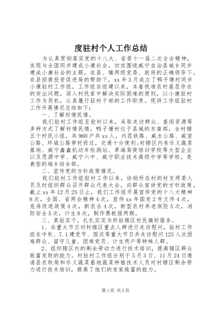 2024年度驻村个人工作总结