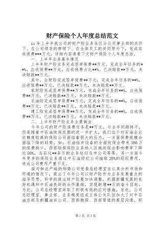 2024年财产保险个人年度总结范文