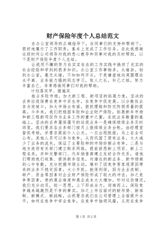 2024年财产保险年度个人总结范文
