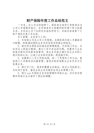 2024年财产保险年度工作总结范文