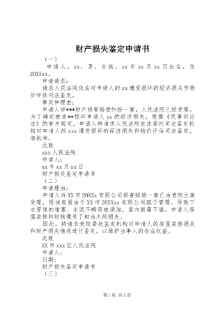 2024年财产损失鉴定申请书