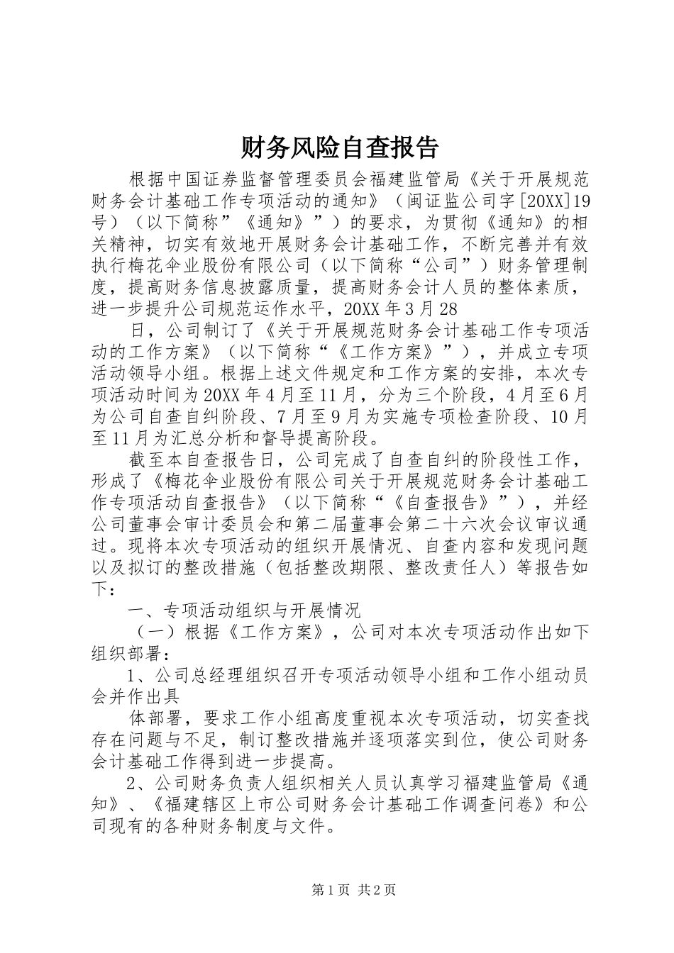 2024年财务风险自查报告_第1页