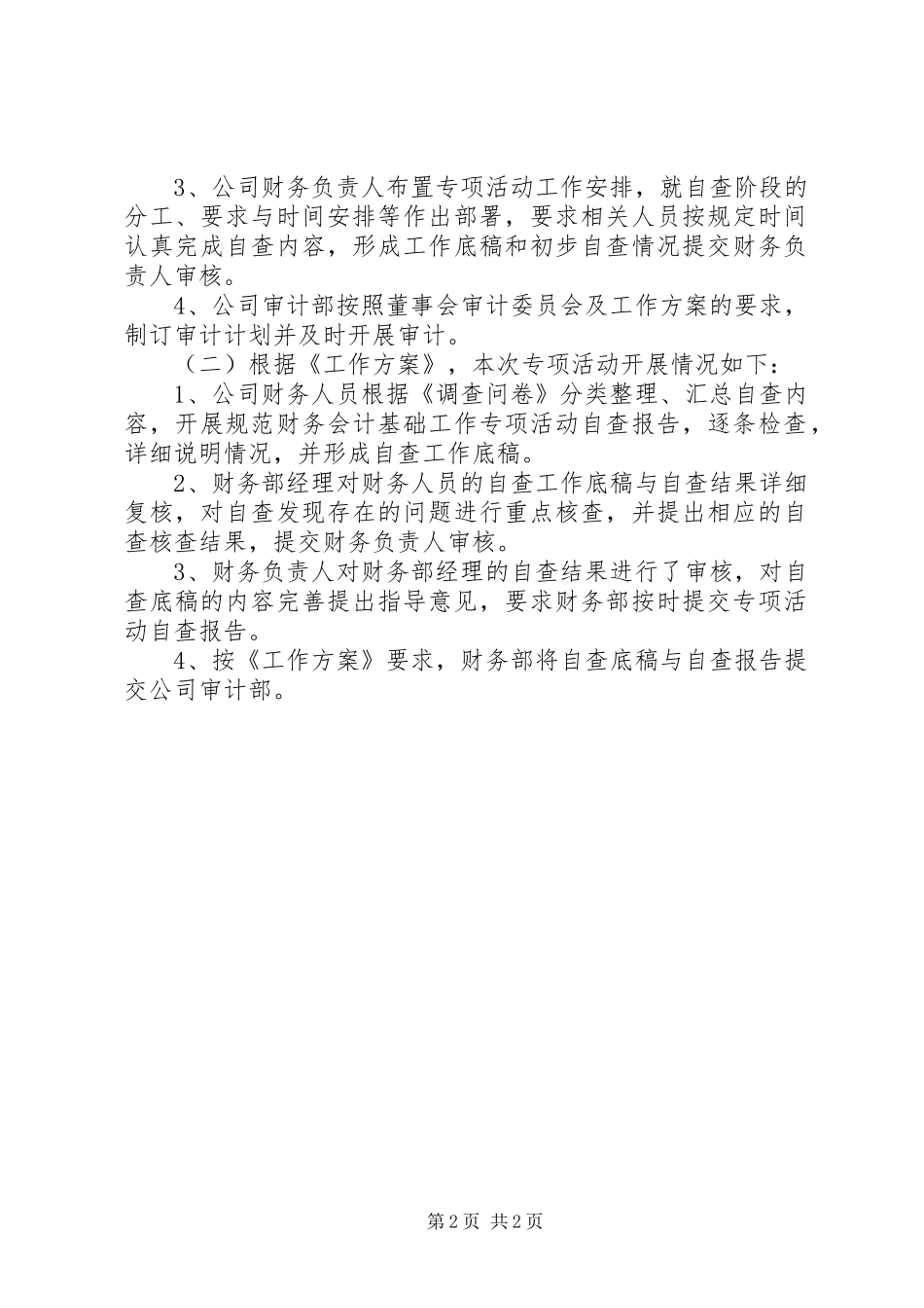 2024年财务风险自查报告_第2页