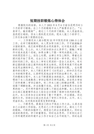 2024年短期挂职锻炼心得体会