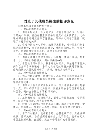 2024年对班子其他成员提出的批评意见