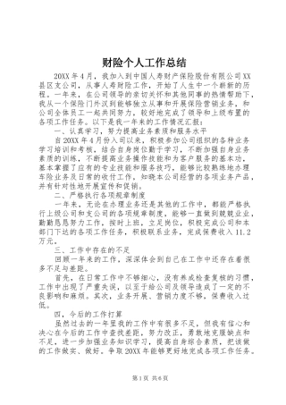 2024年财险个人工作总结