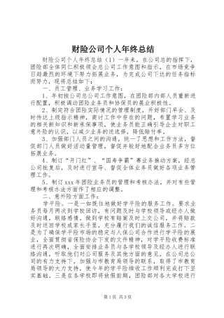 2024年财险公司个人年终总结