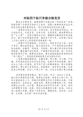2024年对标四个标尺争做合格党员