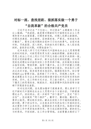 2024年对标一流查找差距狠抓落实做一个勇于自我革新的合格共产党员