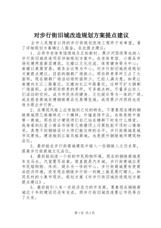 2024年对步行街旧城改造规划方案提点建议