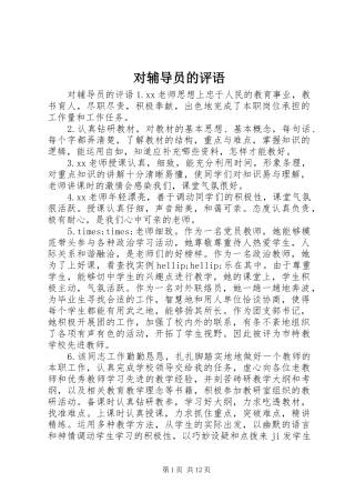 2024年对辅导员的评语