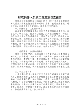 2024年财政供养人员及工资发放自查报告