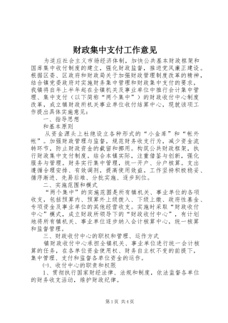 2024年财政集中支付工作意见