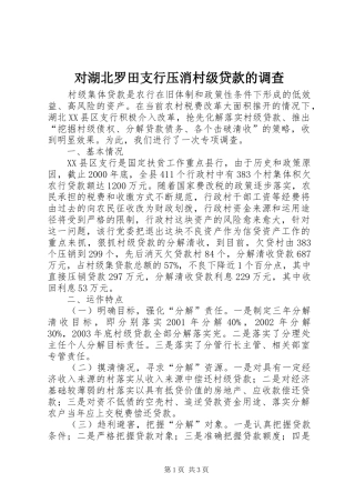 2024年对湖北罗田支行压消村级贷款的调查