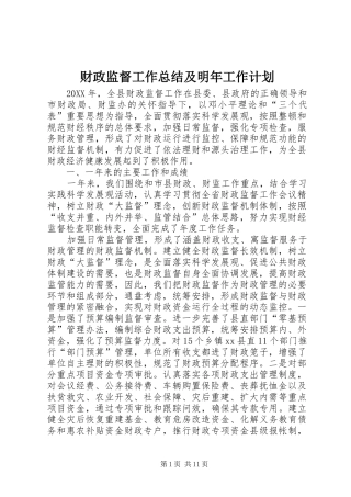 2024年财政监督工作总结及明年工作计划