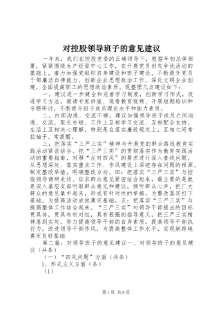 2024年对控股领导班子的意见建议