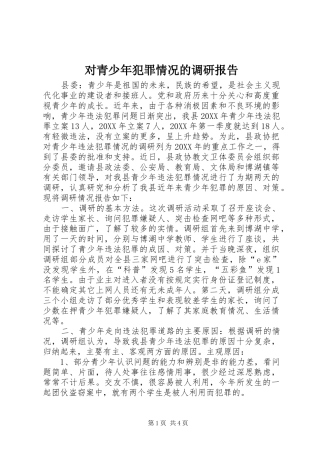 2024年对青少年犯罪情况的调研报告