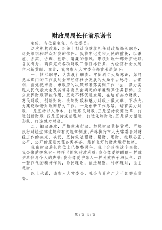 2024年财政局局长任前承诺书