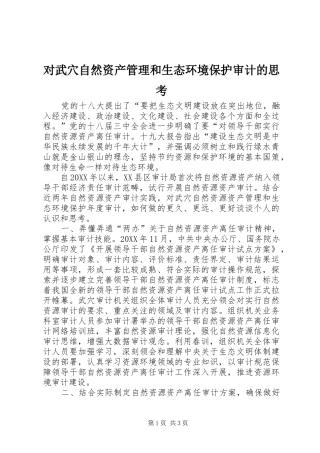 2024年对武穴自然资产管理和生态环境保护审计的思考