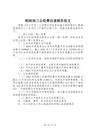 2024年财政局三公经费自查报告范文