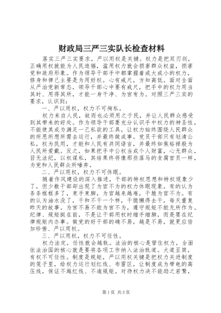 2024年财政局三严三实队长检查材料