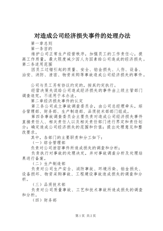 2024年对造成公司经济损失事件的处理办法