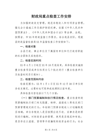 2024年财政局重点检查工作安排