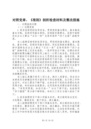 2024年对照党章准则剖析检查材料及整改措施