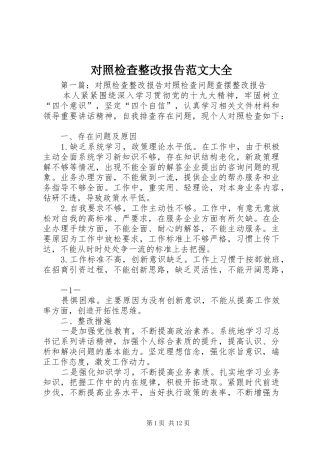 2024年对照检查整改报告范文大全