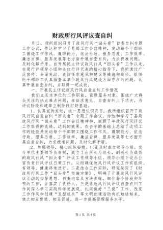 2024年财政所行风评议查自纠