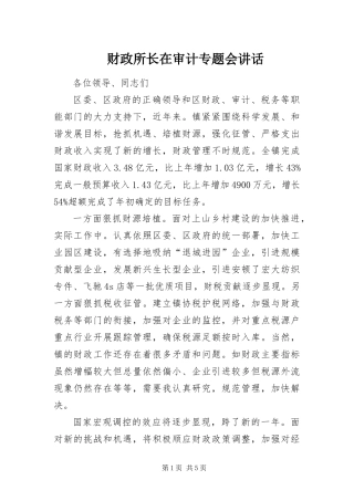 2024年财政所长在审计专题会致辞