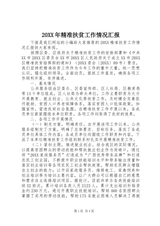 2024年精准扶贫工作情况汇报