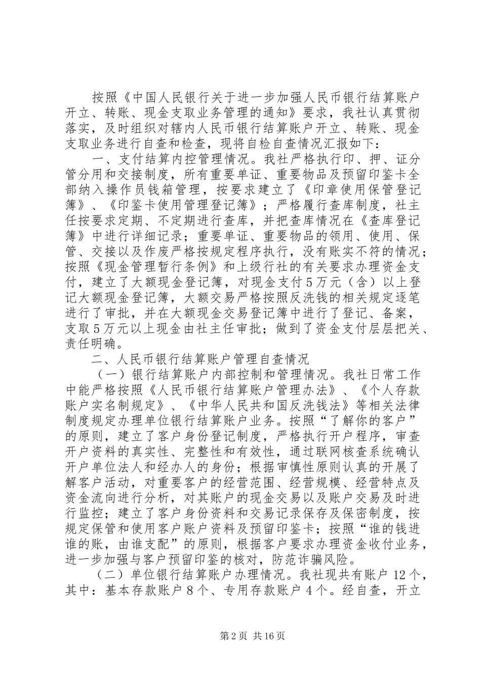 2024年财政账户自查报告_第2页