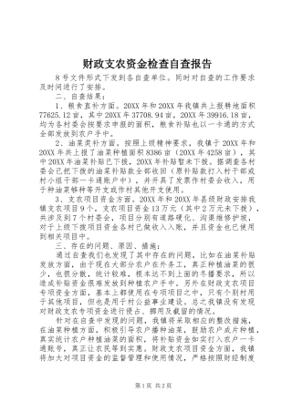 2024年财政支农资金检查自查报告