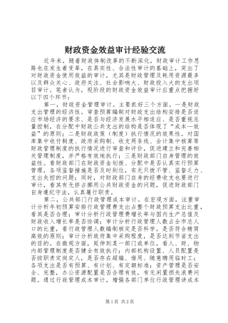 2024年财政资金效益审计经验交流