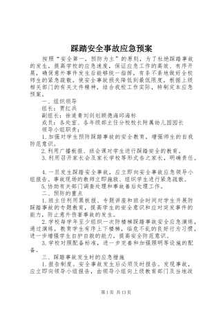 2024年踩踏安全事故应急预案