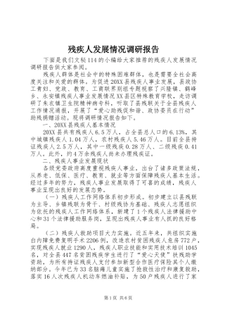 2024年残疾人发展情况调研报告