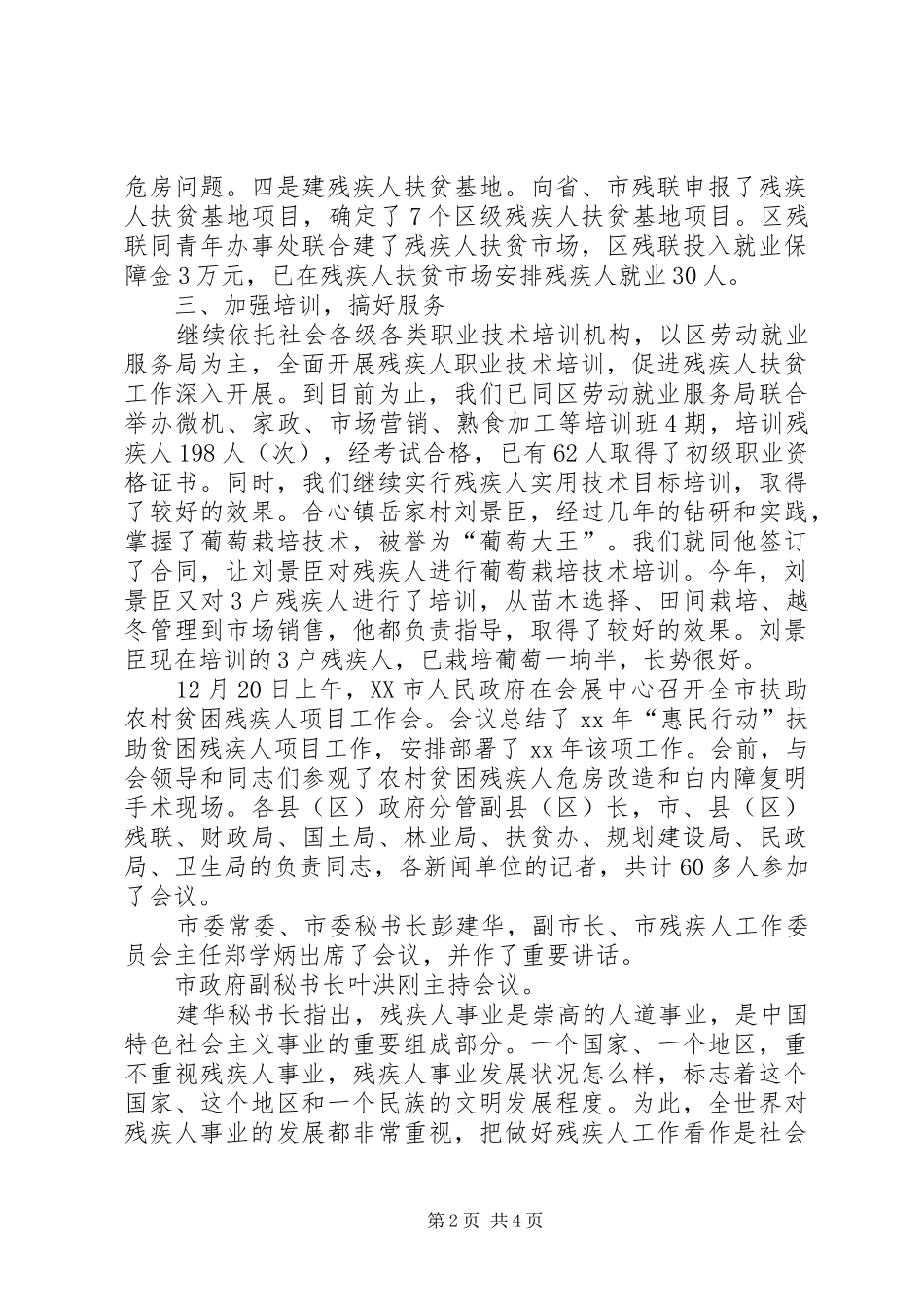 2024年残疾人扶贫工作总结_第2页