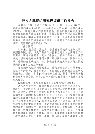 2024年残疾人基层组织建设调研工作报告