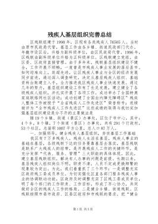 2024年残疾人基层组织完善总结