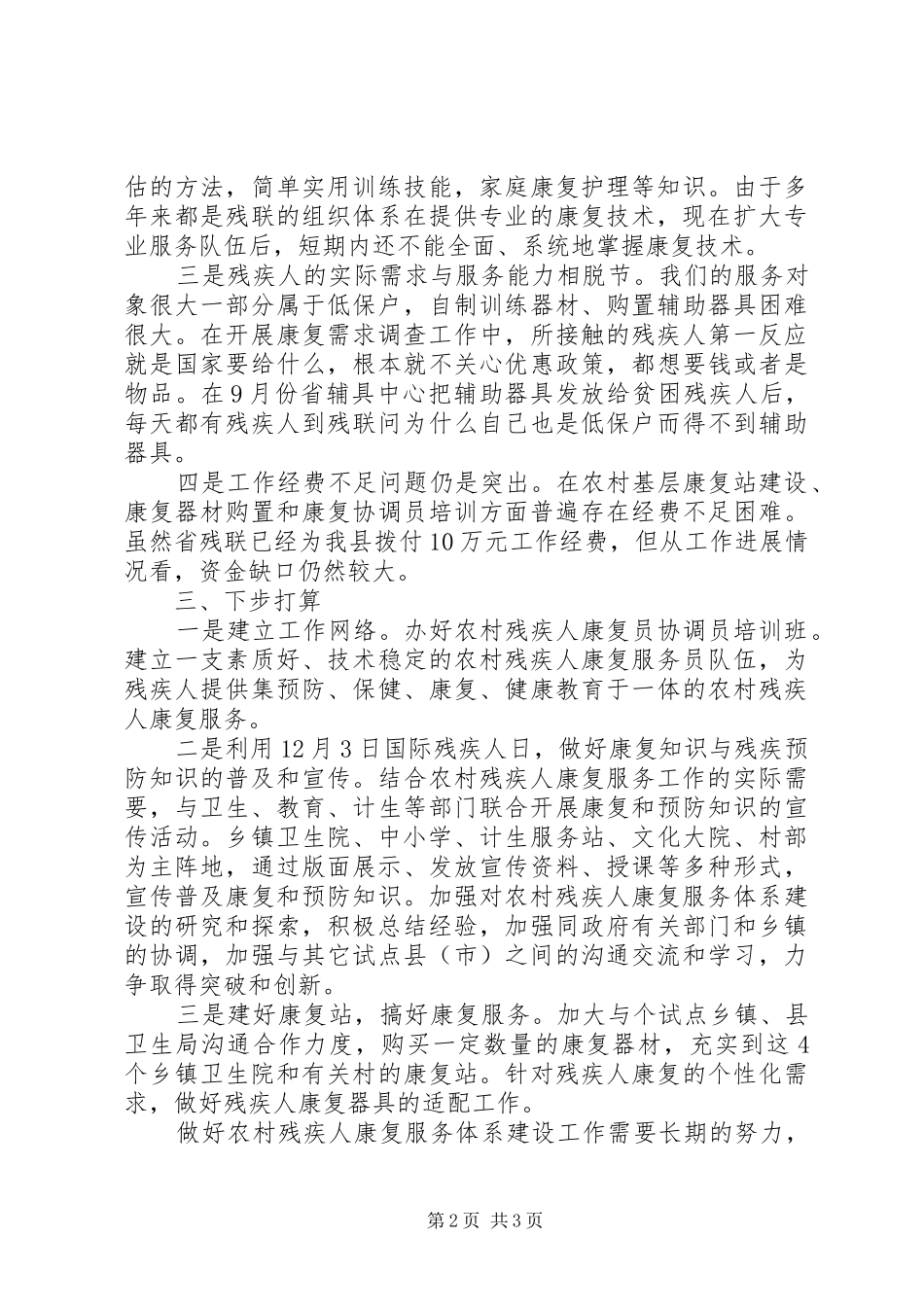 2024年残疾人康复服务体系建设工作总结_第2页