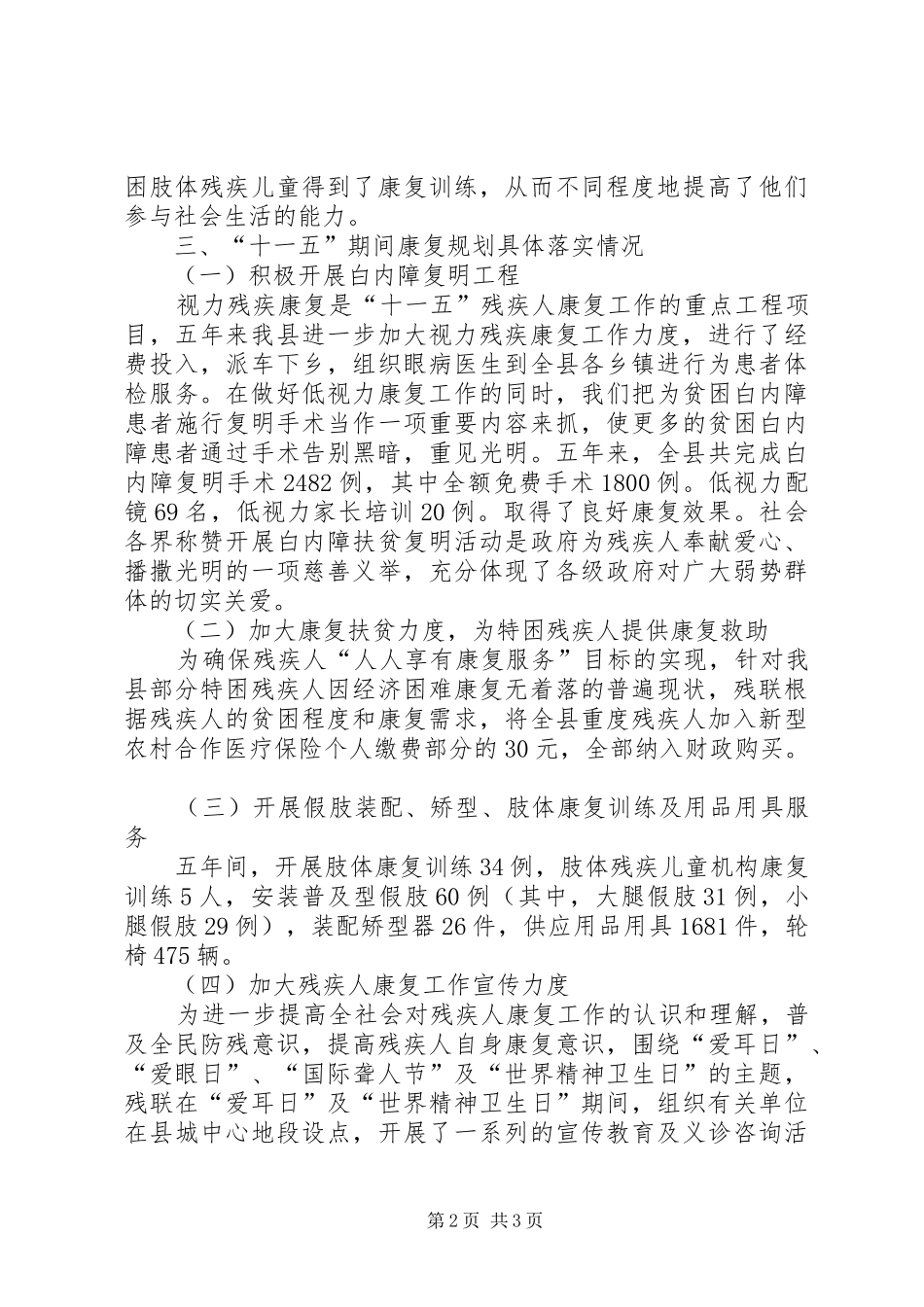 2024年残疾人康复工作总结范文_第2页