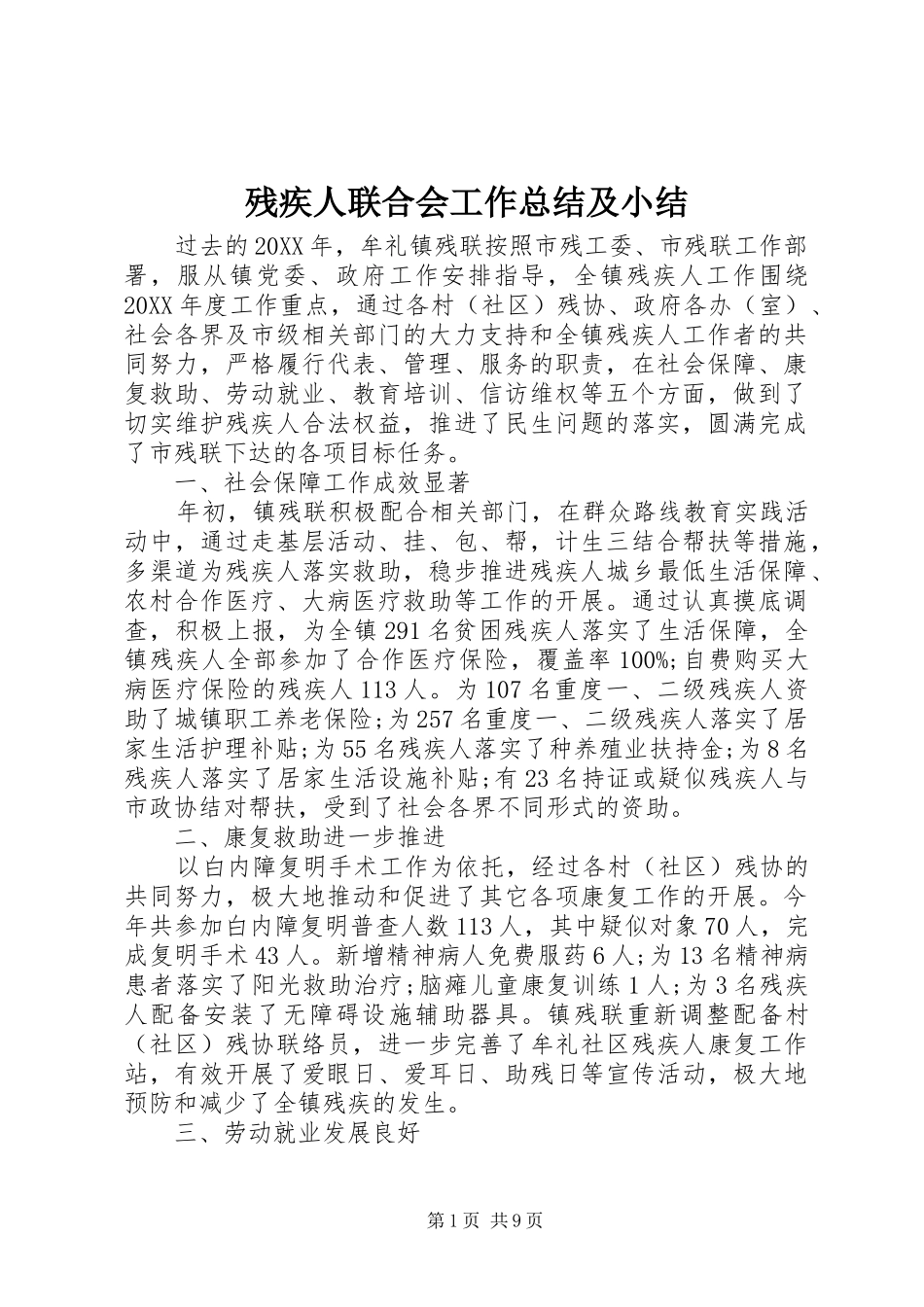 2024年残疾人联合会工作总结及小结_第1页